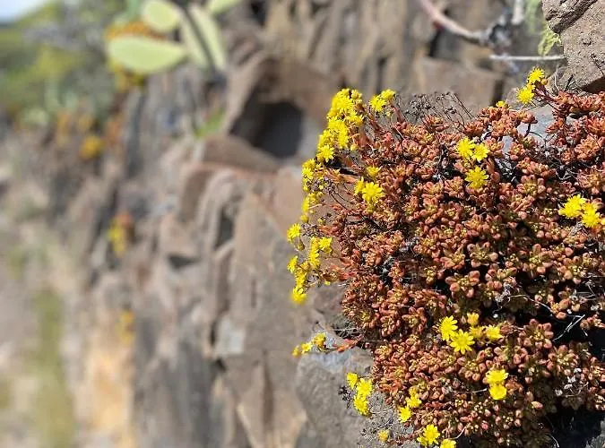 Duplex De 2 Y 2 Banos Y Con Jackuzzi Privado * Tamaimo