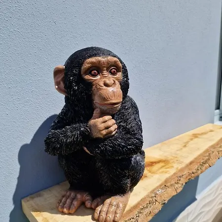 Duplex De 2 Y 2 Banos Y Con Jackuzzi Privado Lägenhet *