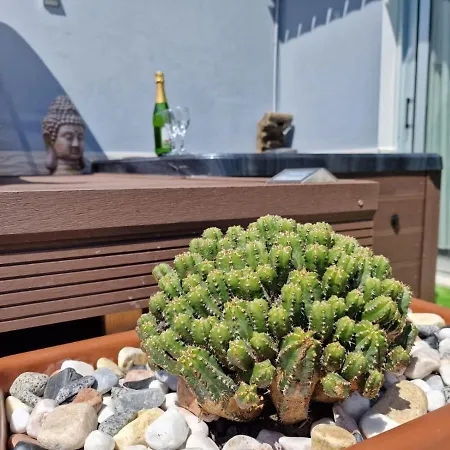 Duplex De 2 Y 2 Banos Y Con Jackuzzi Privado