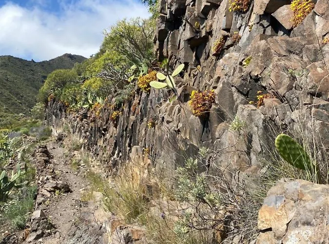 Duplex De 2 Y 2 Banos Y Con Jackuzzi Privado Appartement